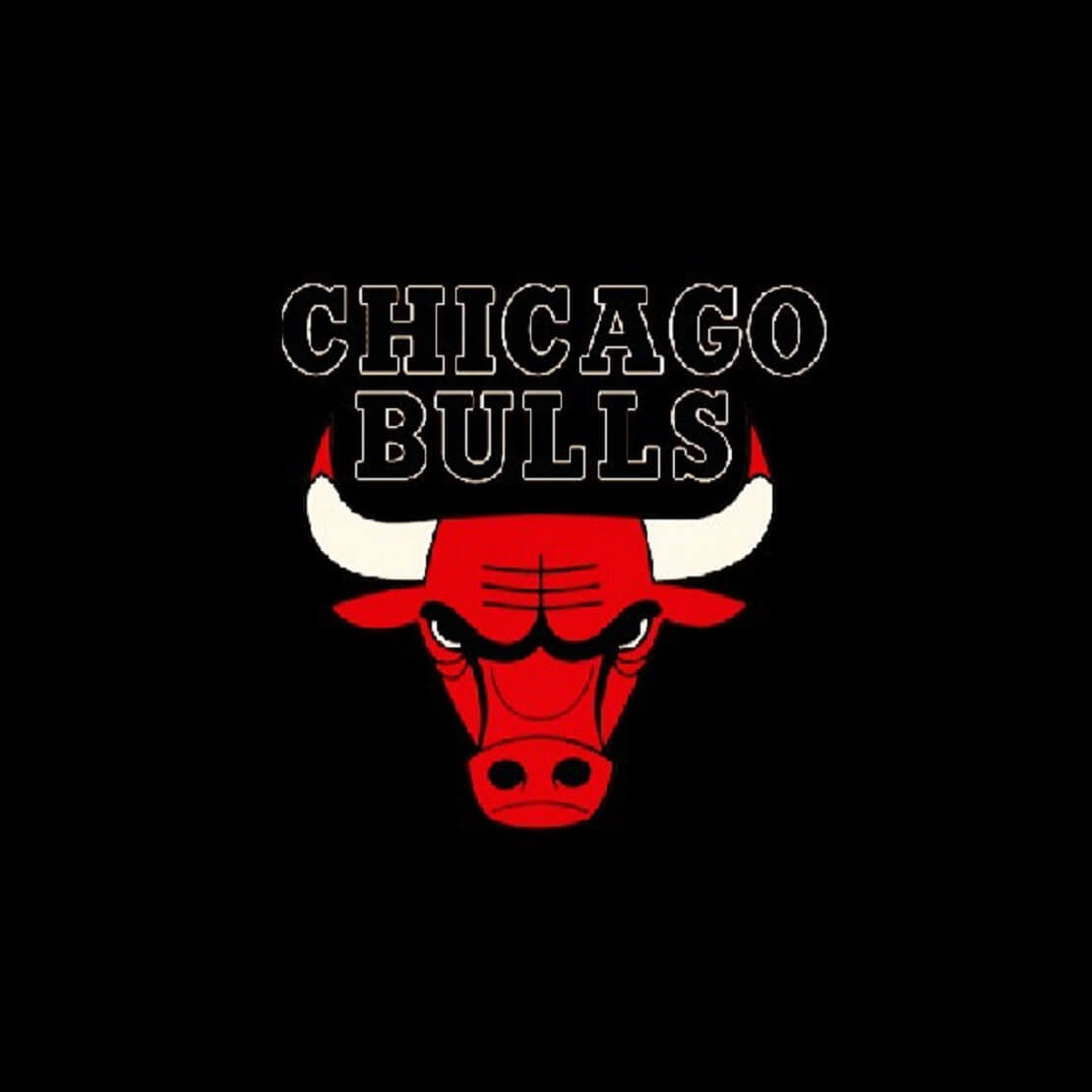 Logo der Chicago Bulls